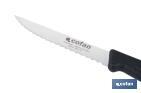 Pack de 25 cuchillos de cocina microdentados | Mango ergonómico | Hoja inoxidable de 10,5 cm - Cofan