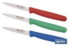 PACK DE 3 CUCHILLOS PUNTILLA DE ACERO INOXIDABLE | MANGO ANTIDESLIZANTE | APTO PARA LAVAVAJILLAS