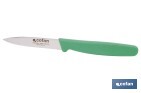 Pack de 3 cuchillos puntilla de acero inoxidable | Mango antideslizante | Apto para lavavajillas - Cofan