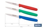 Pack de 3 cuchillos puntilla de acero inoxidable | Mango antideslizante | Apto para lavavajillas - Cofan