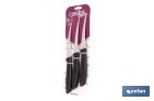 Pack de 3 cuchillos para fruta y verdura con mango ergonómico | Hoja de acero inoxidable | Longitud de la hoja: 10 cm - Cofan
