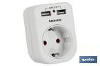 2-PIN PLUG ADAPTER | SINGLE SOCKET | IT INCLUDES 2 USB PORTS