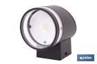Aplique de pared LED solar exterior | Sensor crepuscular, 3000 K, 70 lm | Disponible en diferentes colores - Cofan