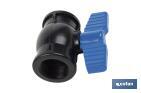 PP ball valve with F-F thread PN16 | Available in different sizes - Cofan
