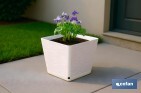 Maceteros decorativos para interior | Macetas cuadradas con plato integrado | Con señalizador de riego | Disponibles en diferentes colores y medidas - Cofan