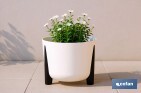 Macetas decorativas con patas | Tapón de drenaje incorporado | Disponibles en color café y crema | Diferentes medidas y capacidades - Cofan