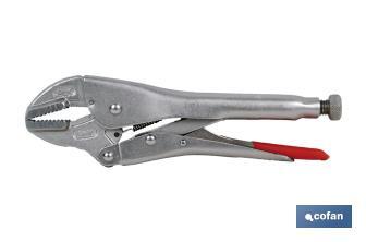 Vice grips with straight jaws | With wire cutter | Length: 10" - Cofan