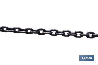 Lifting chain G-80 - Cofan