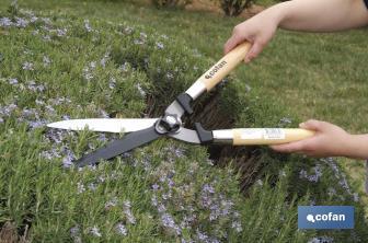 Cizalla corta setos profesional | Mango ergonómico de madera | Adecuadas para jardinería y arbustos - Cofan
