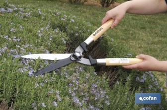 Cizalla corta setos profesional | Mango ergonómico de madera | Para jardinería y arbusto - Cofan