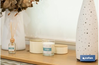 Reed diffuser | Aroma of ocean | Rattan scent sticks - Cofan