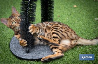 Cat scratcher | Pet care | Arch massager - Cofan