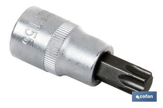 Steckschlüssel Torx-Spitze 1/4" - Cofan