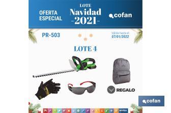 Navidad 2021: Lote 4 - Cofan