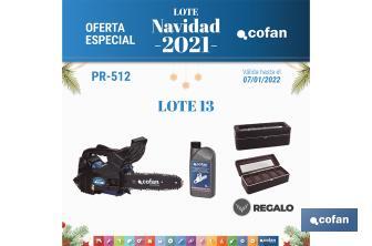 Navidad 2021: Lote 13 - Cofan