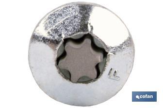 Torx-Sicherhetisschraube 30. - Cofan