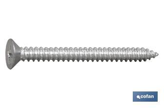 Phillips Cross recessed countersunk head self tapping screw, zinc plated - Cofan