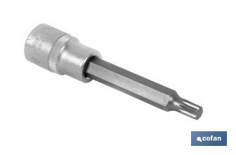 1/2" screwdriver bit socket | High-quality chrome-vanadium steel | With long XZN10 tip - Cofan