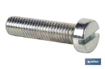 Screw, DIN 84, zinc plated - Cofan