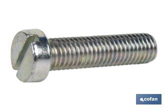 Screw, DIN 84, zinc plated - Cofan