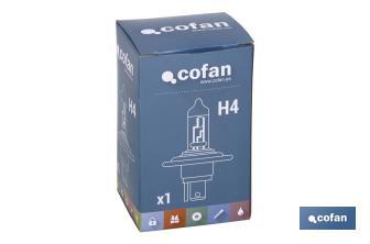 H-4 - Cofan