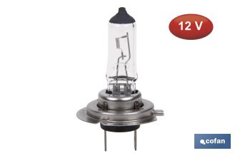 Lámpara halógena H7 (Px26d) 12 V 55 W | Pack: 10 unidades - Cofan
