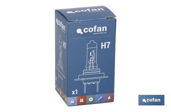 H-7 - Cofan