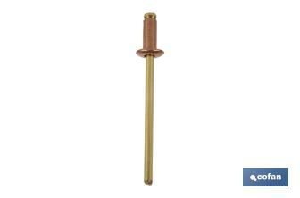 Copper rivets - Bronze - Cofan