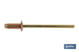 Copper rivets - Bronze - Cofan