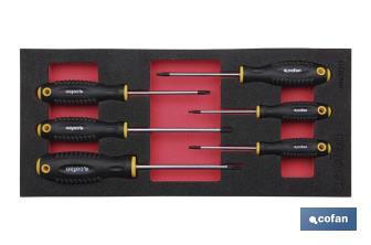 Módulo de espuma con herramientas  | Para 1/3 cajón del carro de herramientas cofan | Destornilladores torx 6 piezas - Cofan