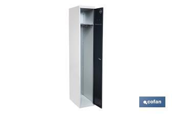Taquilla de acero inicial de 1 puerta | Color: gris | Medidas: 180 x 30 x 50 cm - Cofan