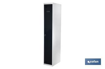 Initial single-door locker | Steel | Colour: grey | Size: 180 x 30 x 50cm - Cofan