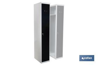 Initial single-door locker | Steel | Colour: grey | Size: 180 x 30 x 50cm - Cofan