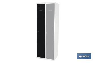 Initial single-door locker | Steel | Colour: grey | Size: 180 x 30 x 50cm - Cofan