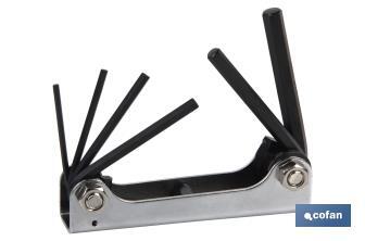 Set of hex keys | 6 pieces | Content: 2.5 - 3 - 4 - 5 - 6 - 8 - Cofan