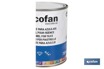 Water-based enamel for tiles | 750ml paint bucket - Cofan