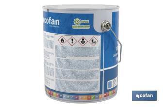 Chlorinated rubber paint for swimming pools | Light blue and dark blue | 5kg - Cofan