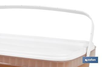 Pintura Plástica Monocapa | Diferentes colores  | Apta para usar en interior - Cofan