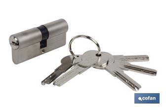 (Nickel) Security Cylinder identical keys - Cofan