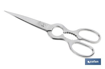 Tijeras de pescado | Adecuadas para uso profesional | Hojas de acero inoxidable | Longitud: 21 cm | Ideales para corte preciso de alimentos - Cofan
