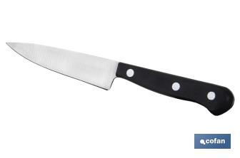 Utility knife | Saffron Model | Blade size: 10.5cm | Stainless-steel blade | Polyoxymethylene handle | Black - Cofan
