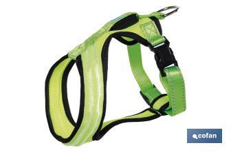 Reflective and illuminated harness with LED light | Three light intensities | Available in different sizes - Cofan