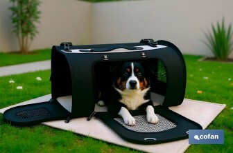 Bolsa Transportín para Mascotas | Medidas 43 x 25 x 29 cm | Color Negro y Plata - Cofan