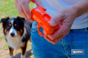 Set of Accessories for dogs | Box with 7 items | Pet accessories for everyday use - Cofan