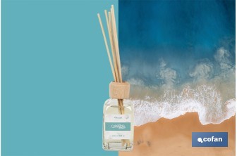 Reed diffuser | Aroma of ocean | Rattan scent sticks - Cofan