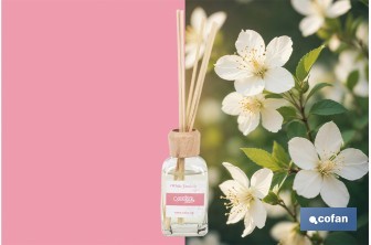 Reed diffuser | Aroma of jasmine | Rattan scent sticks - Cofan