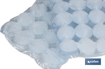Ice cube bags | Size: 25 x 18.7cm | Box of 10 pieces - Cofan