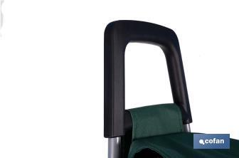 Carro de la compra con 6 ruedas | Diseño plegable | Sube escaleras | Bolsa de 42 litros | Bolsillo para congelados | Disponible en varios colores - Cofan