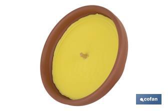 Velas aromáticas de citronela en recipiente de terracota | Duración: 20 horas - Cofan