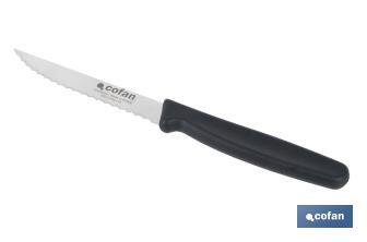 Pack de 25 cuchillos de cocina microdentados | Mango ergonómico | Hoja inoxidable de 10,5 cm - Cofan